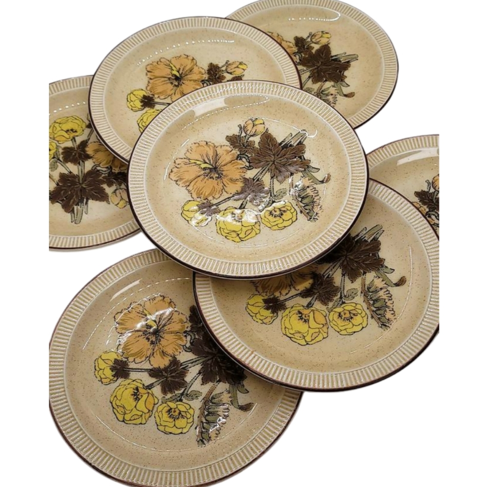 Poole England Broadstone Sherwood Floral Dish Plates 7 inch Set of 7